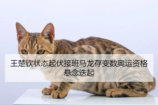 wang-chu-qin-zhuang-tai-qi-fu-jie-ban-ma-long-cun-bian-shu-ao-yun-zi-ge-xuan-nian-die-qi-2-577.jpg