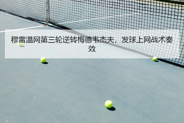mu-lei-wen-wang-di-san-lun-ni-zhuan-mei-de-wei-jie-fu-fa-qiu-shang-wang-zhan-shu-zou-xiao-2-216.jpg