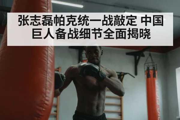 张志磊帕克统一战敲定 中国巨人备战细节全面揭晓